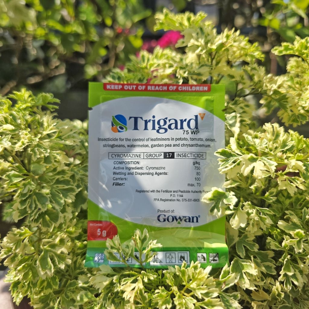 Trigard 75WP Insecticide / Pests Control | Shopee Philippines