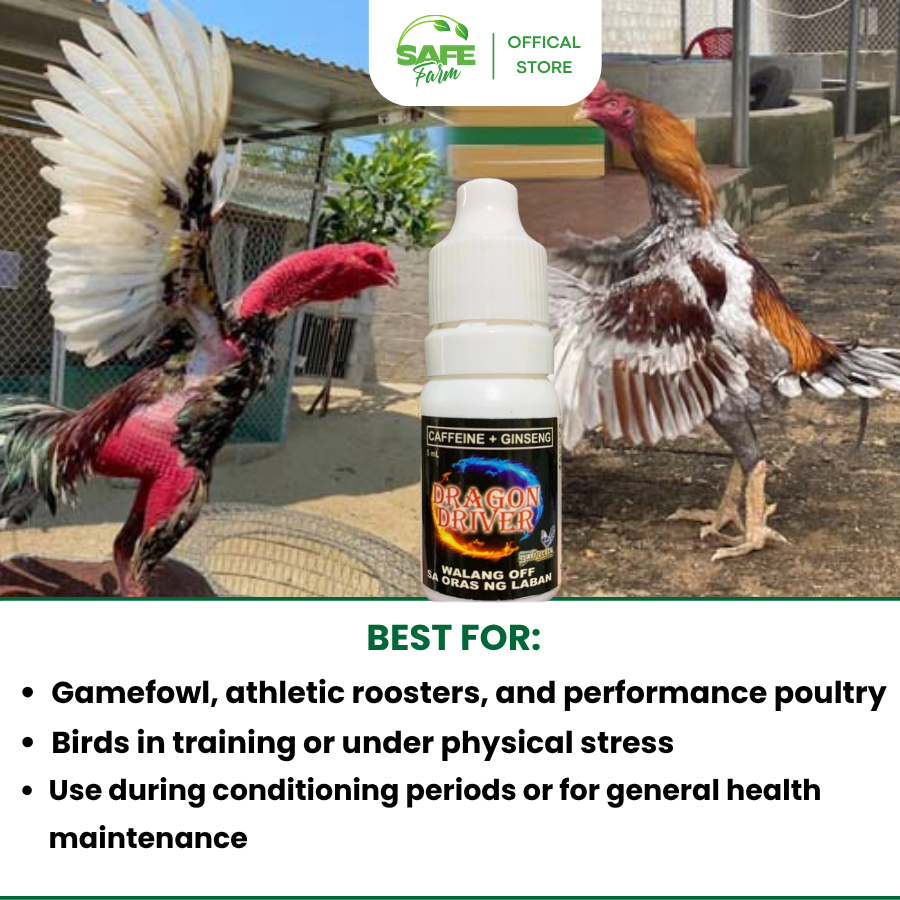 [SALE 70%] Dragon Driver 10ml | Gamefowl Performance Enhancer | Energy ...