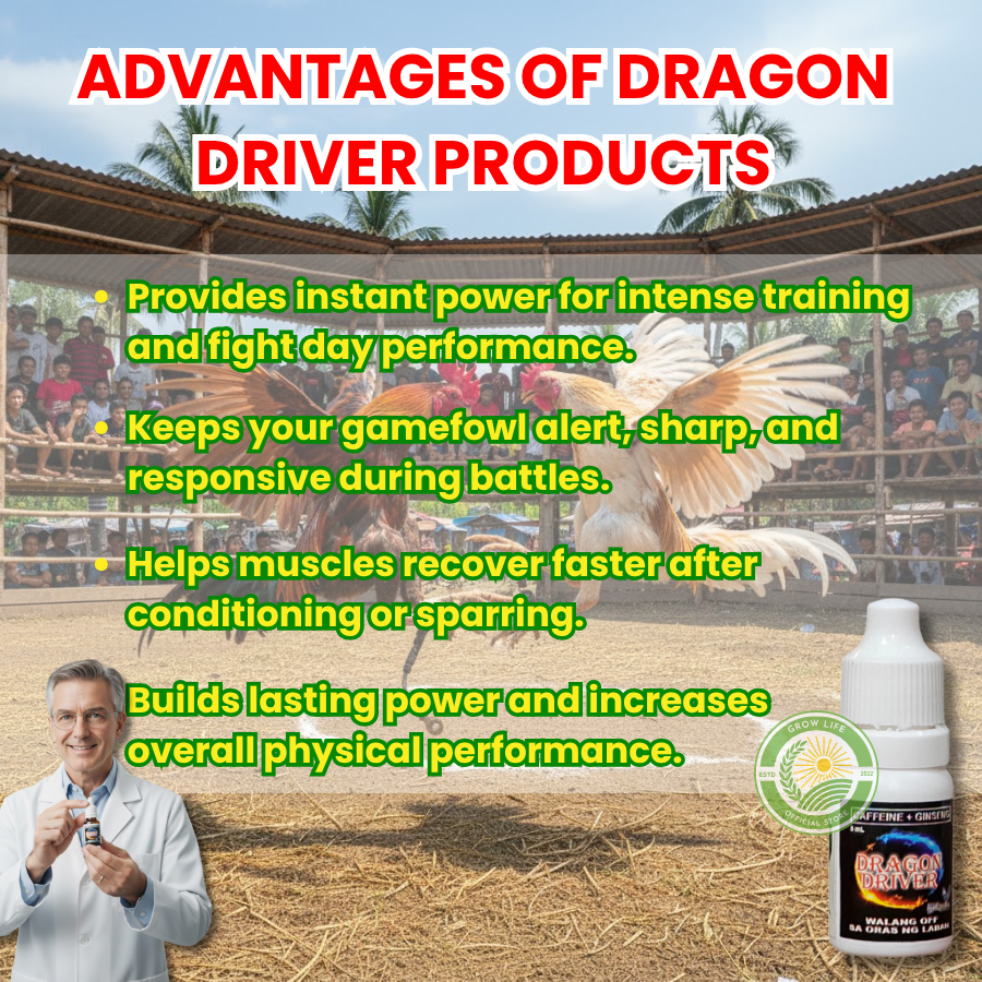 [BUY 1 GET 2 FREE] Dragon Driver Battlecock Drops | Boost Strength ...