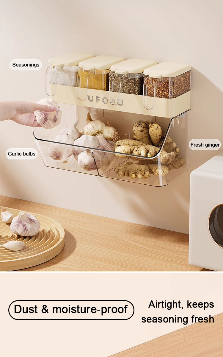 Wall Mounted Kitchen Hanging Rack 2Tier Spice Rack Seasoning Ginger ...