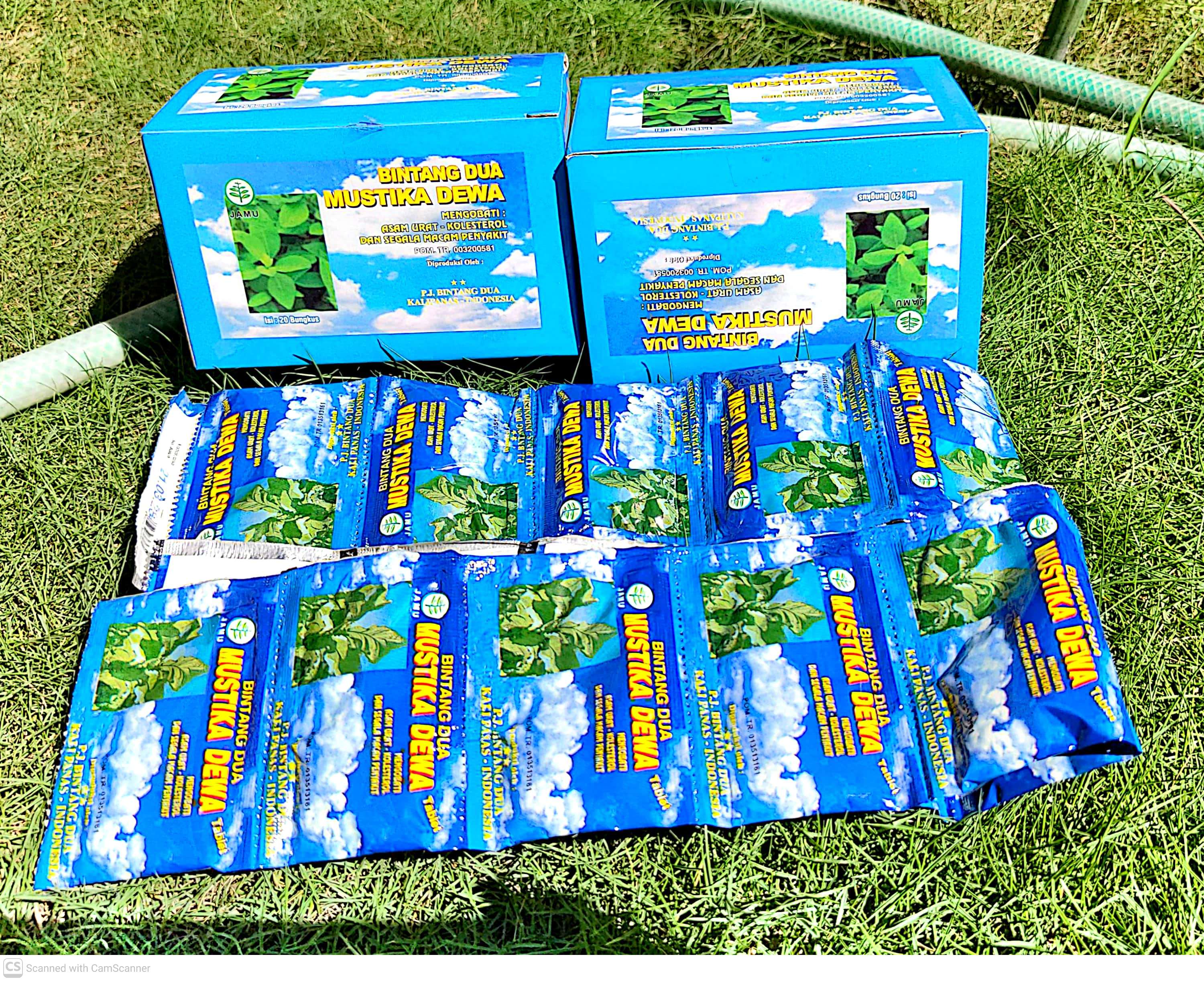 Mustika Dewa 20Sachet Bintang Dua Powder Tea | Shopee Philippines