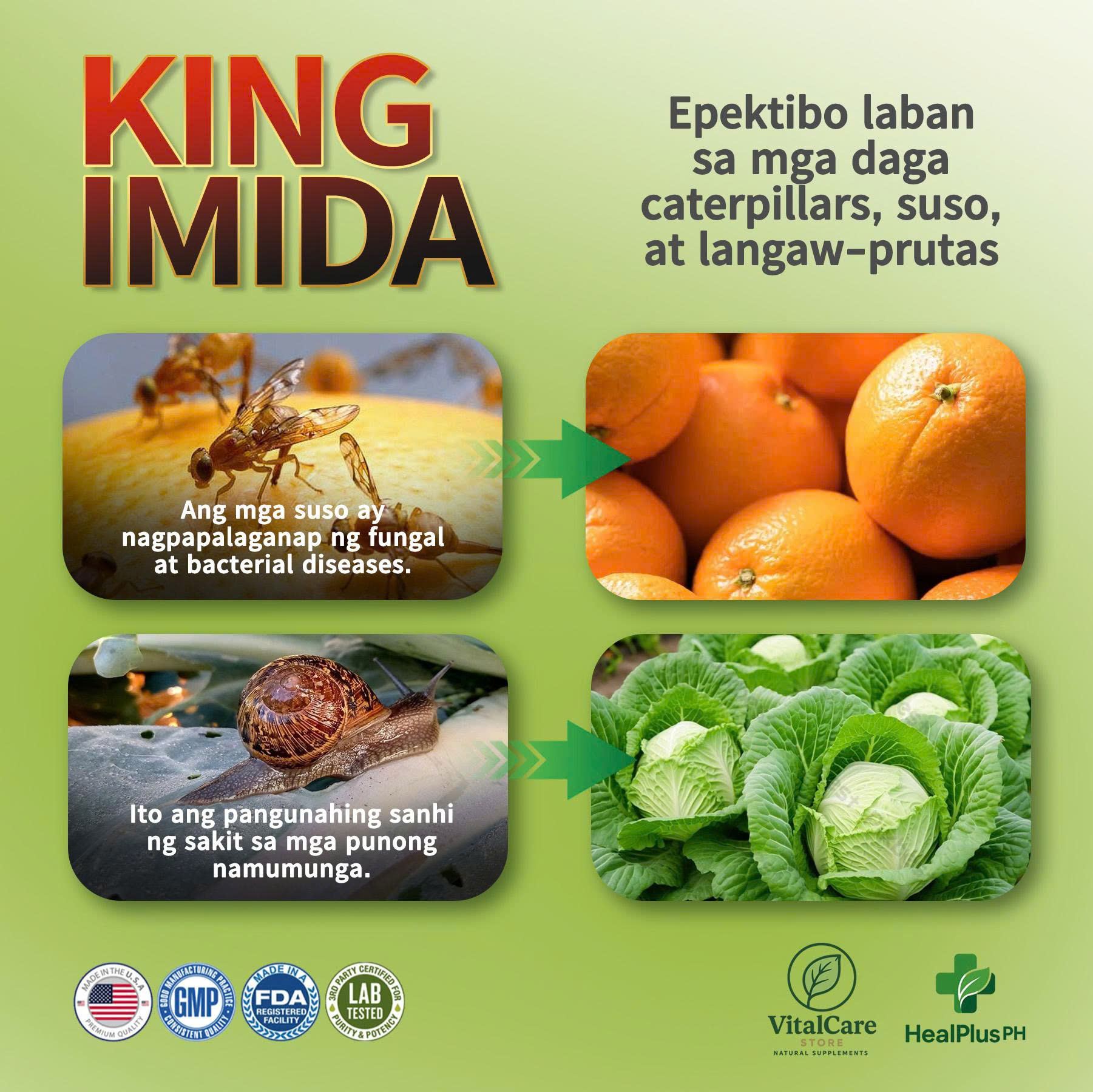 KING IMIDA biological insecticide helps control pests and protects ...
