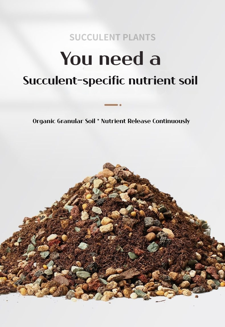 2.5KG Cactus Succulent Soil&Aroid Premium and Organic Soilless Potting ...