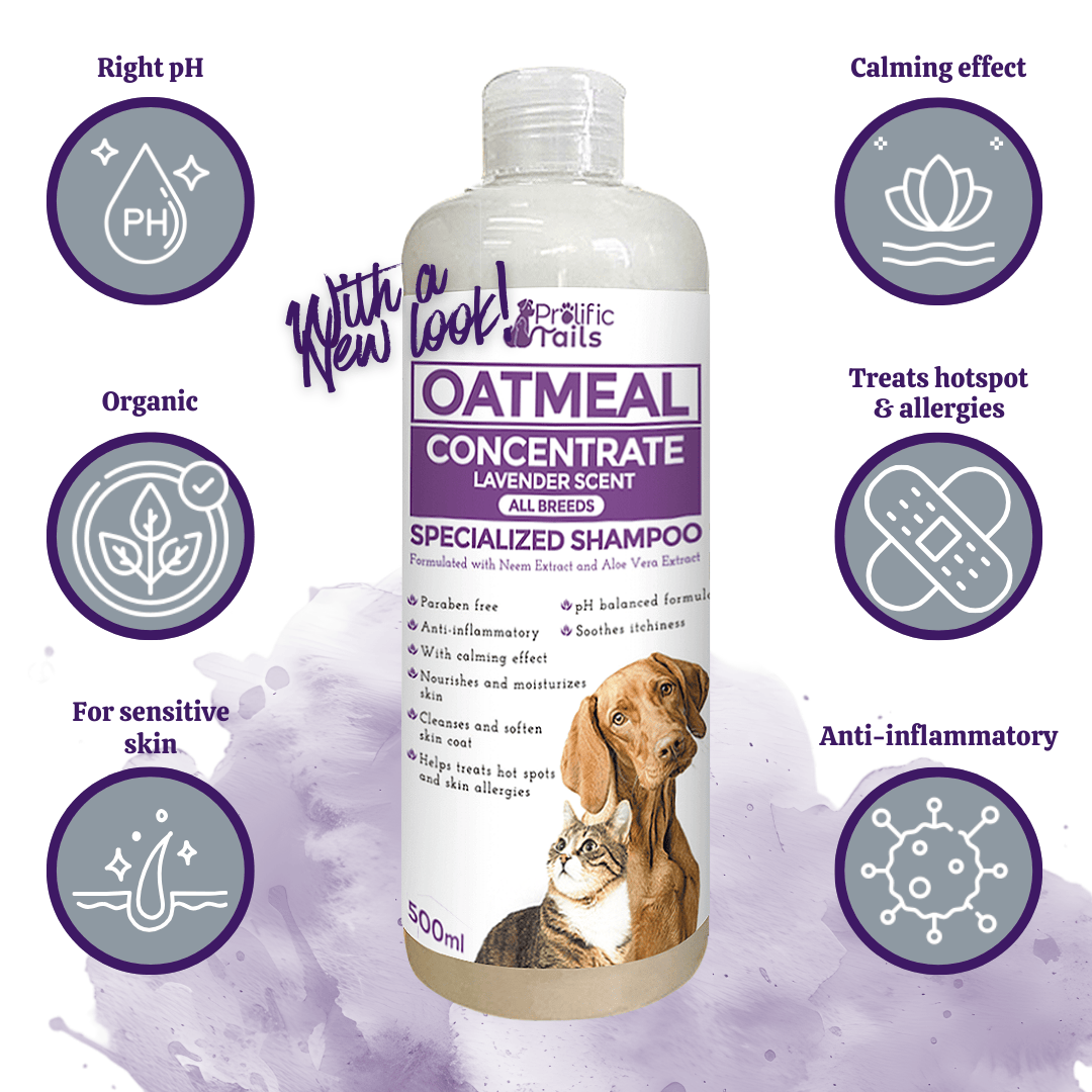 LKJ- For Sensitive Skin, Anti-itch Oatmeal Concentrate Specialized ...