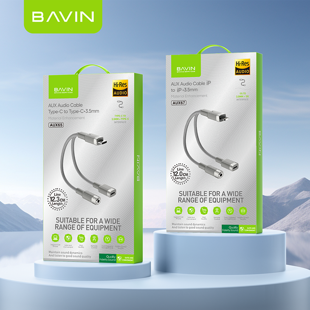 BAVIN AUX62 2-in-1 Hi-Fi Audio & Charge Cable w/iP, Type-C to 3.5mm ...