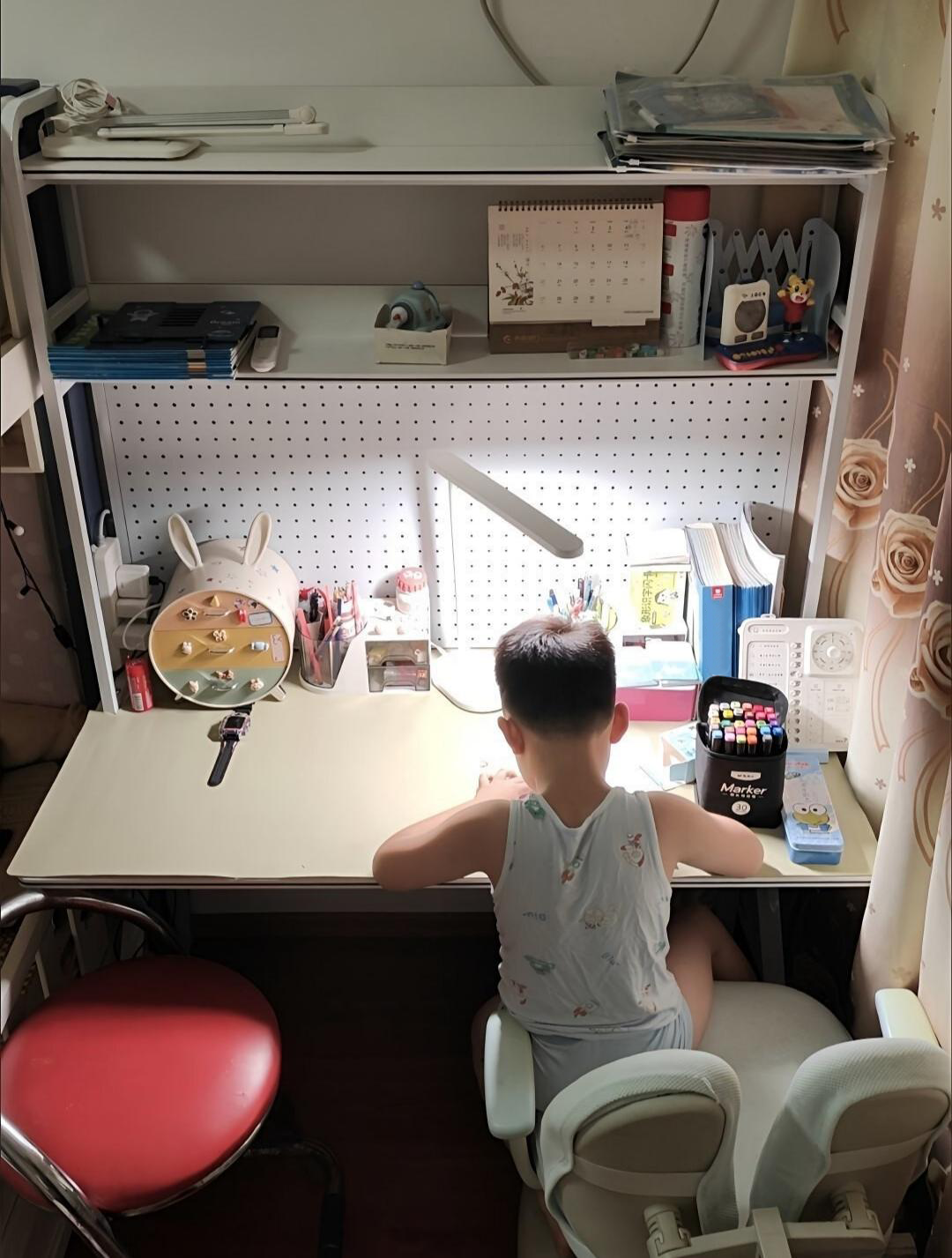 Study Table Pegboard Computer Table Multiple Storage Areas With ...