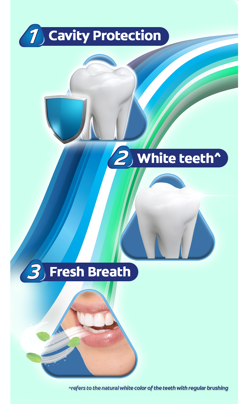 Colgate Triple Action Fluoride Anti-Cavity Toothpaste (Assorted Sizes ...