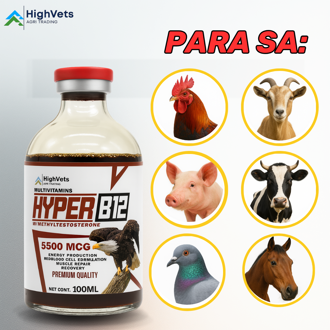 HYPER B12 SUPPLEMENT FOR GAMEFOWL AND OTHER ANIMALS | Shopee Philippines