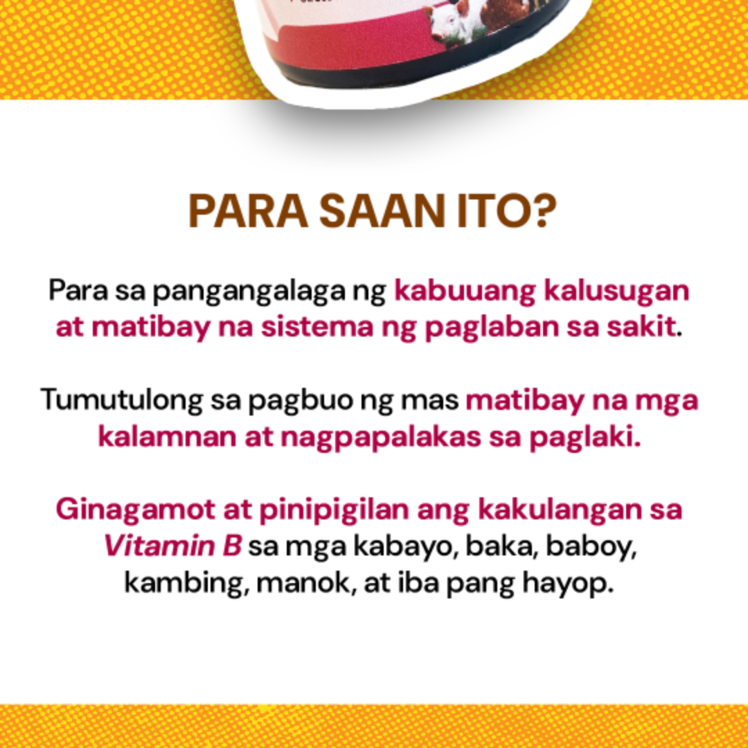 BPOWERBOOST - PAMPAGANA NUTRIPOVET | Shopee Philippines