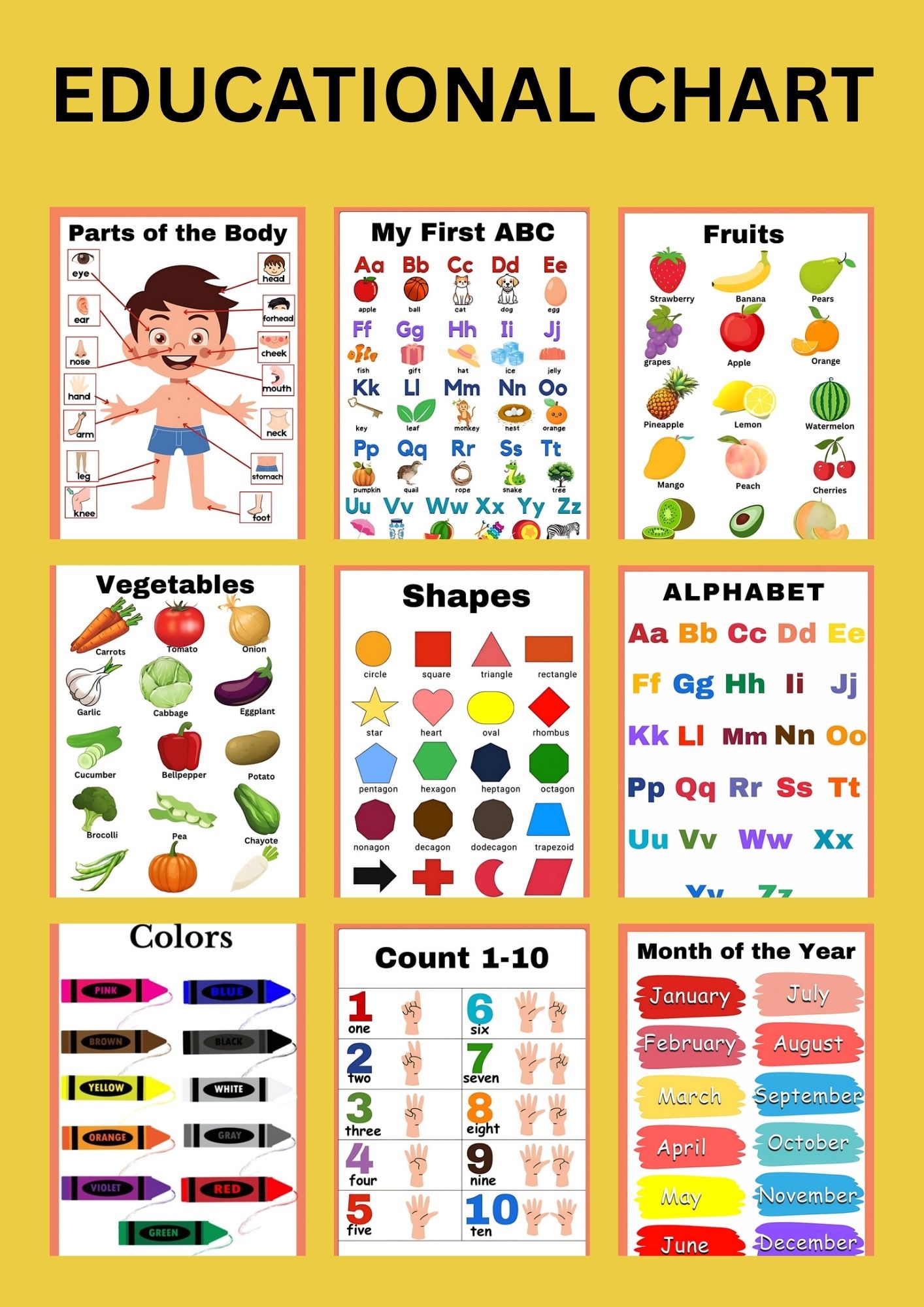 Laminated educational chart,learning materials,alphabet,numbers,colors ...