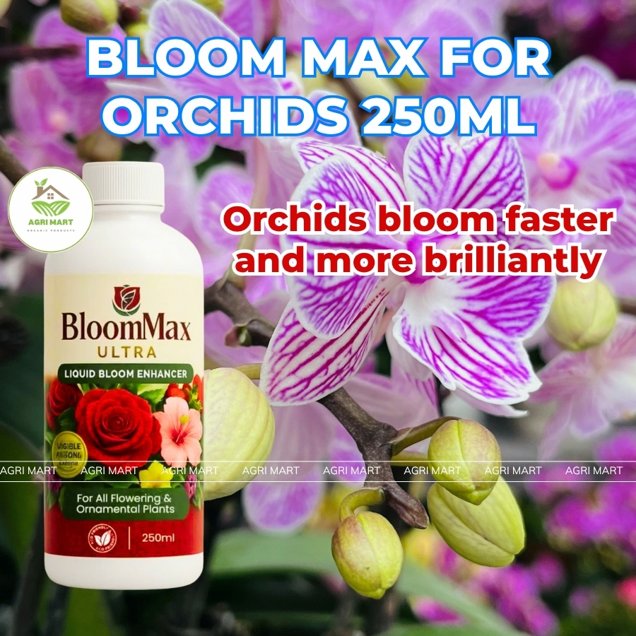 Bloom Max Ultra 250ml – Fast Flowering Solution for Orchids and ...