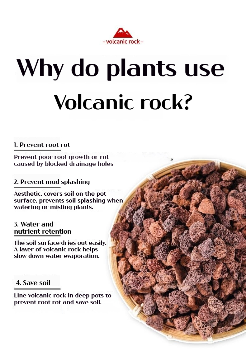 2.5KG Natural Volcanic Rock Lava Rock Granule Pumice Porous Volcanic ...