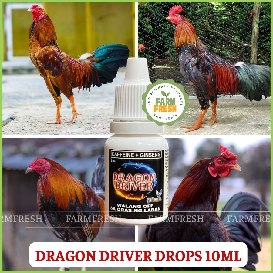 [ SALE 60% ] Dragon Driver 10ml | Gamefowl Energy & Stamina Booster ...