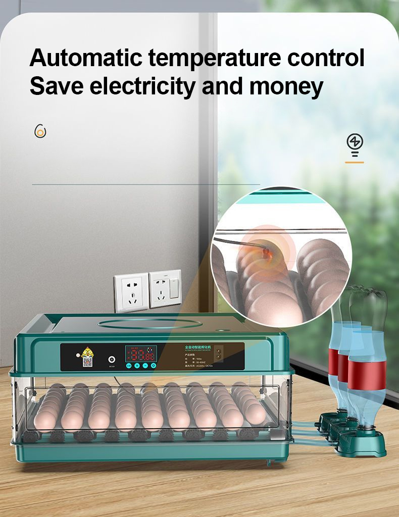 JF Egg Incubator Fully Automatic Egg Incubator Intelligent Digital ...