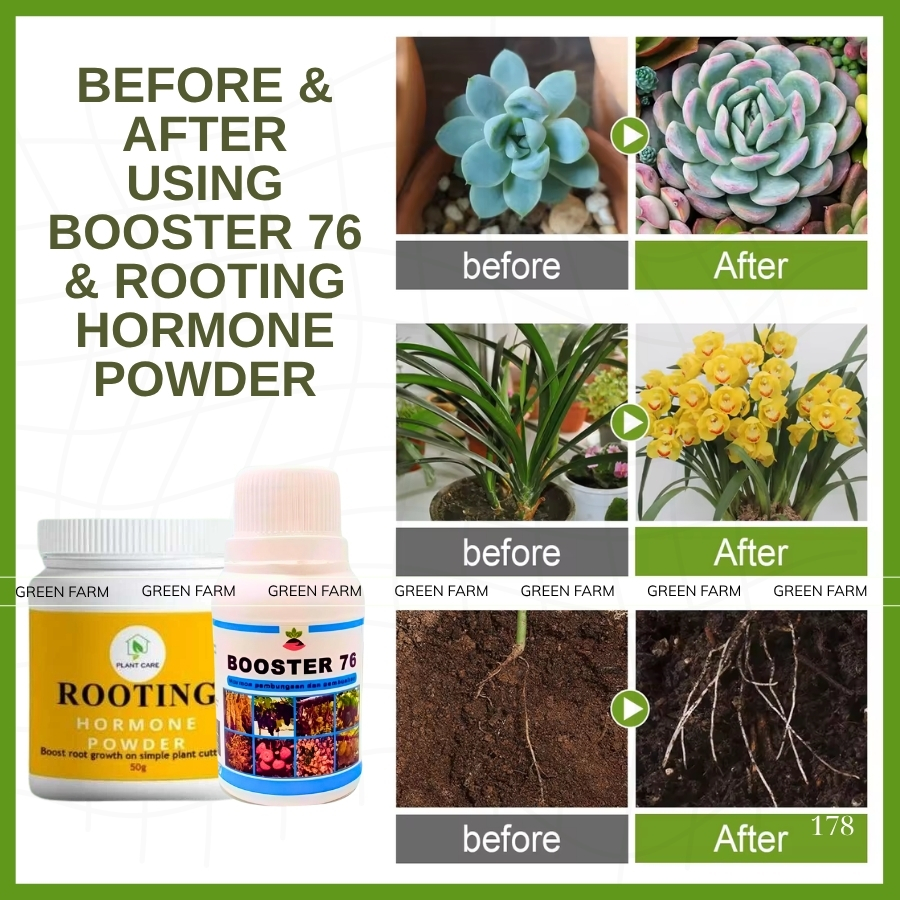 Combo Booster 76 Fertilizer & Rooting Hormone Powder for Stronger Roots ...