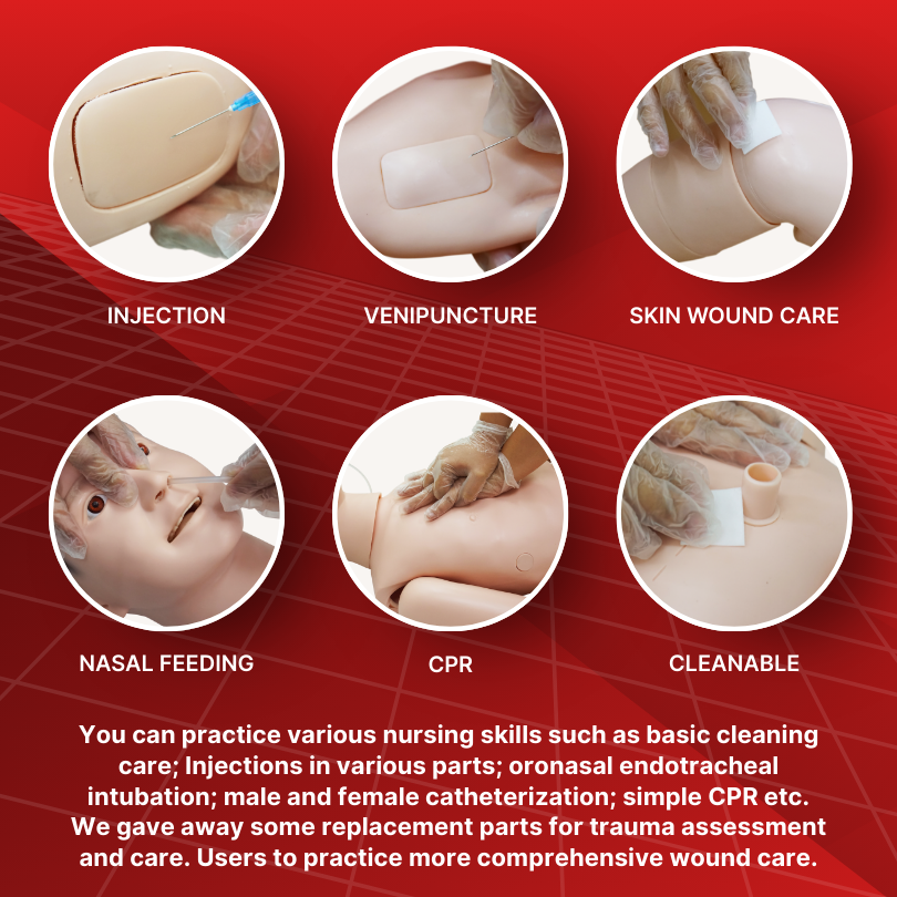 SURRMED Basic Nursing Mannequin | Full-Body Medical Training Model for ...
