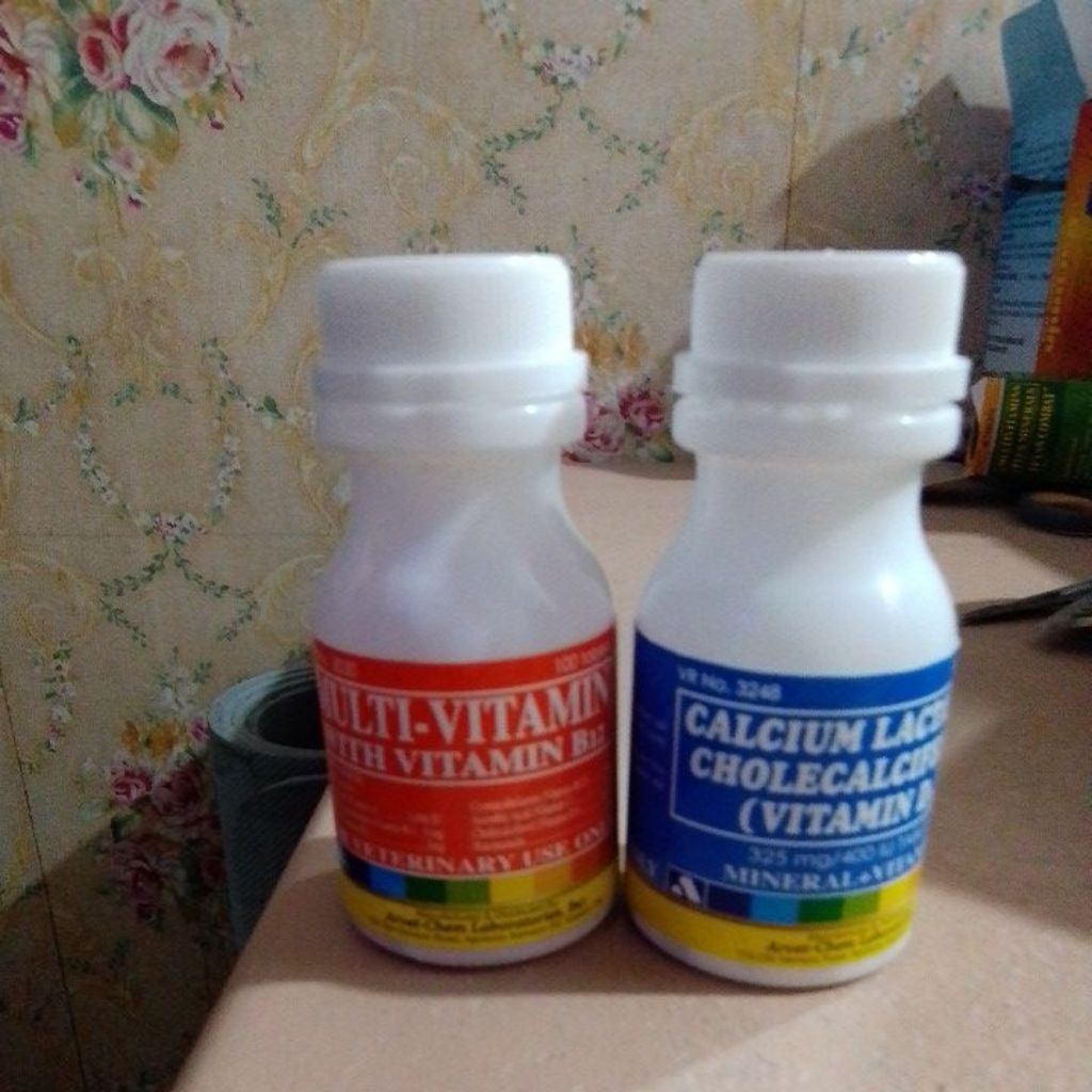 CALCIUM LACTATE and MULTIVITAMINS for GAMEFOWLS (90 for 2 bottles ...