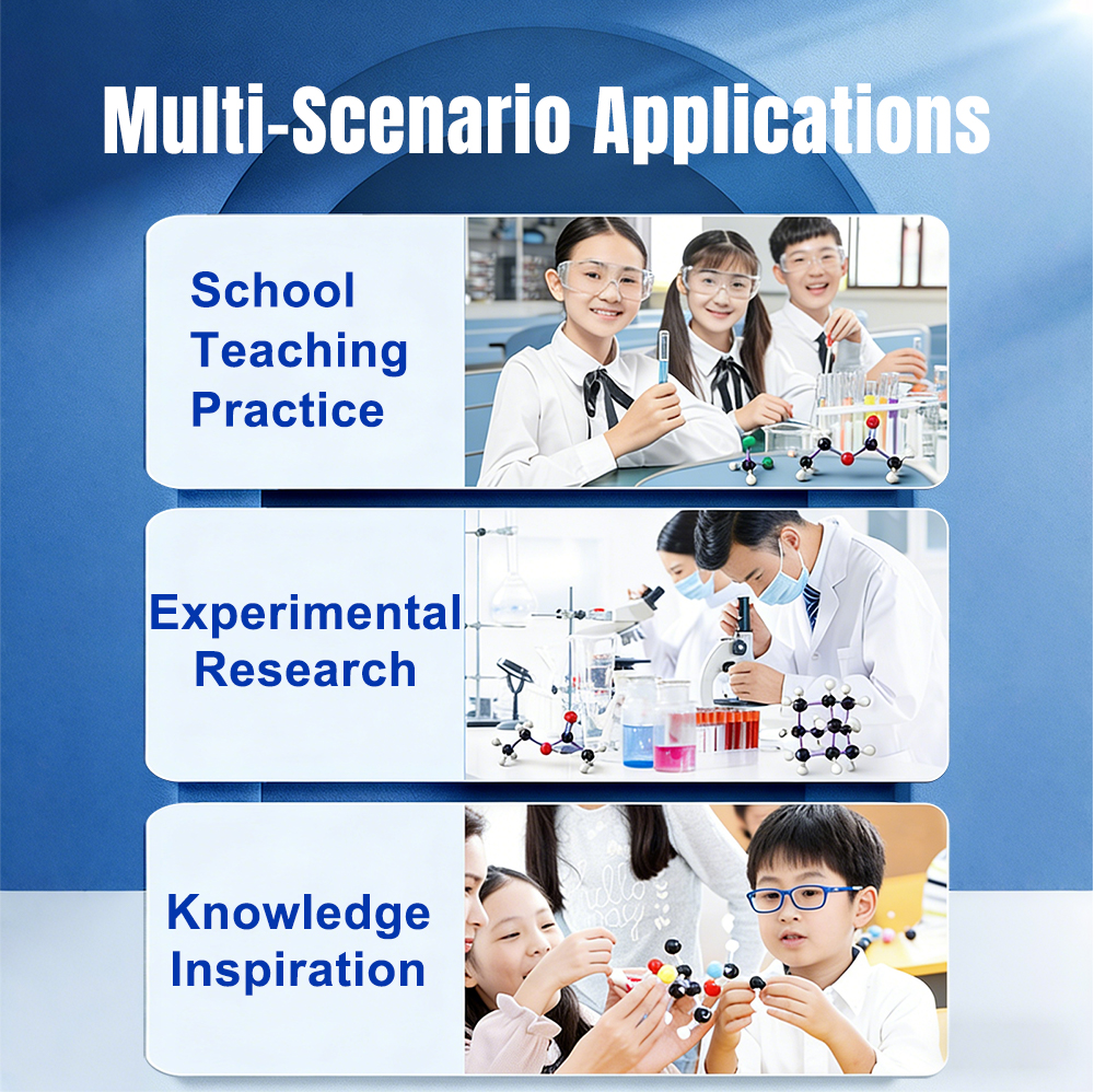 Chemical Molecular Structure Model Kit Organic Inorganic Chemistry Set ...
