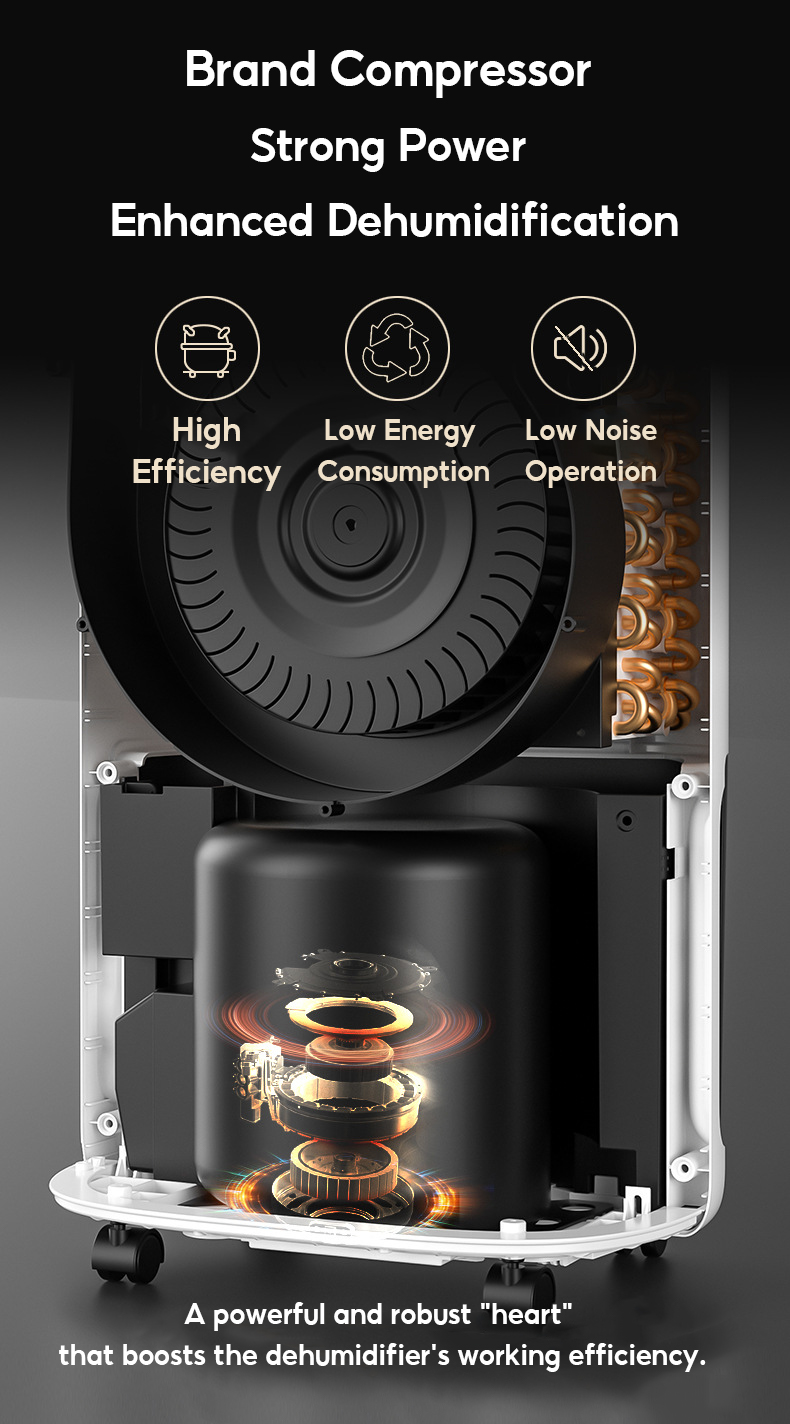 TIXX Electric Dehumidifier Purifier Compressor 2in1 10L/Day Efficient ...