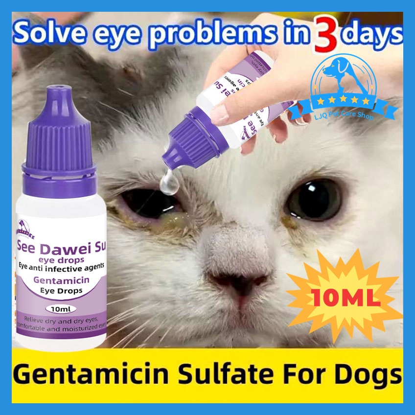 10ML pet eye drops for cats and dogs with cloudy eyes, sneezing and ...