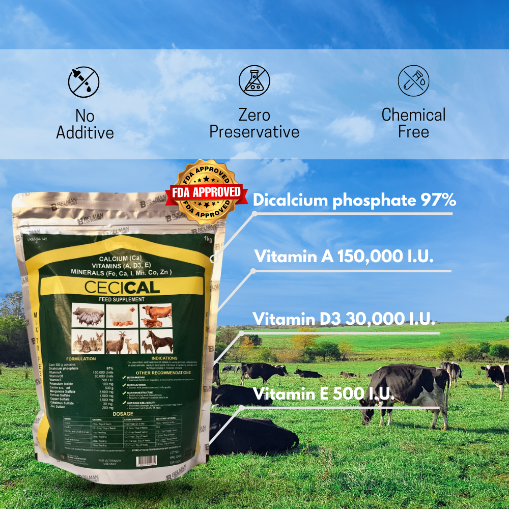 [Buy 1 Get 1] Cecical Powder for Animals 1kg –Cencical Bone Strength ...