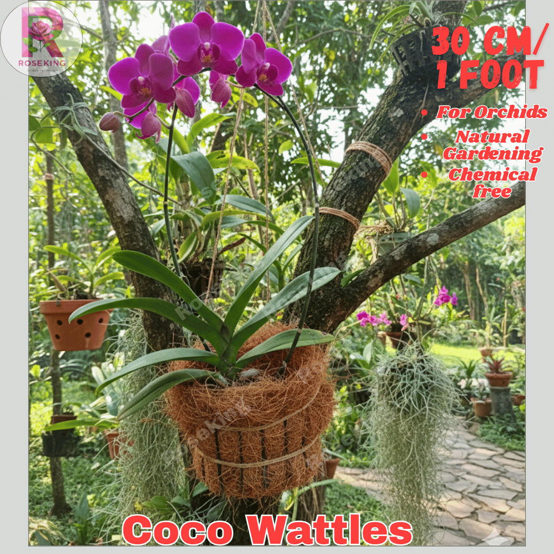Coco Wattles 30 cm for Hanging Plants Coco Logs with Coco Coir and for ...