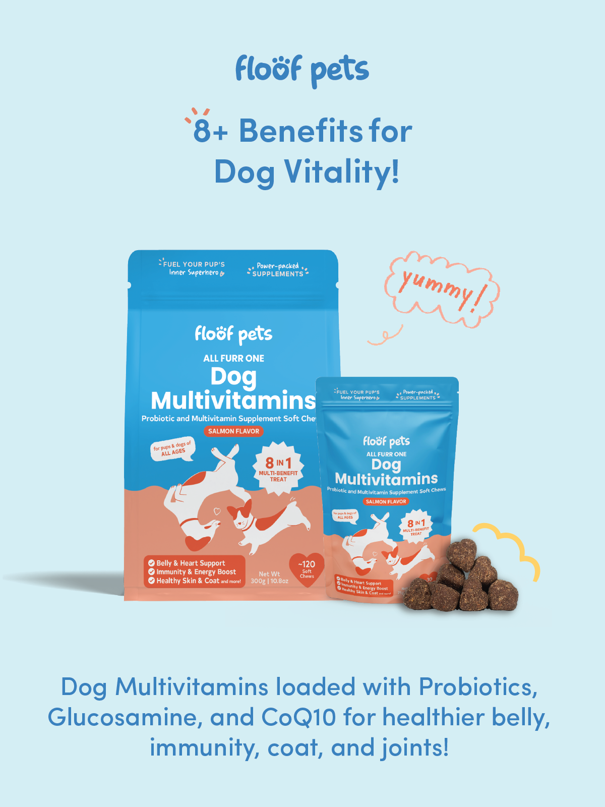 Floof Pets 8-in-1 Dog Multivitamins 120 Chews (300g) Pet Supplement ...