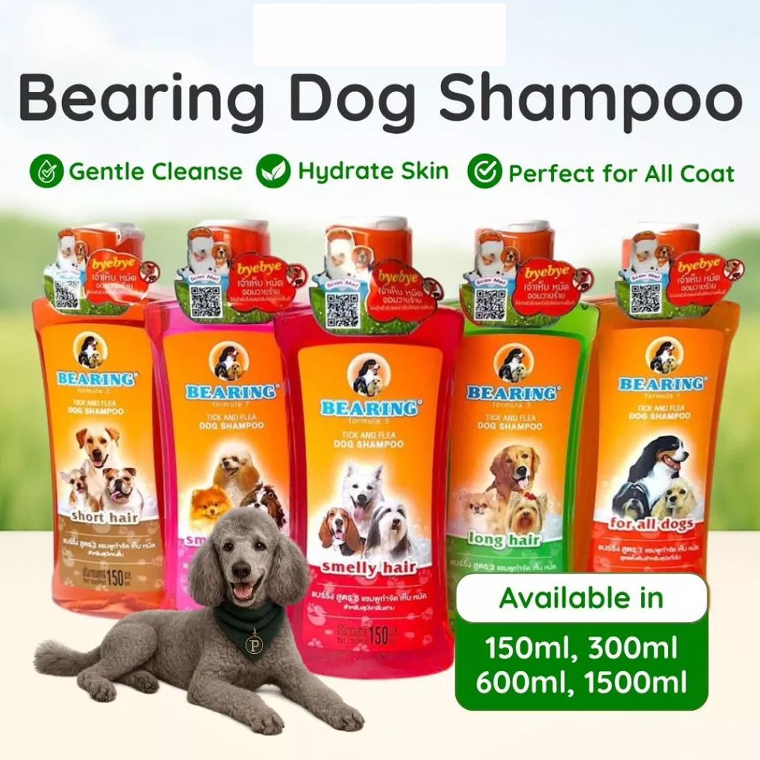 Bearing Tick and Flea Dog Shampoo 150ml | Shopee Philippines