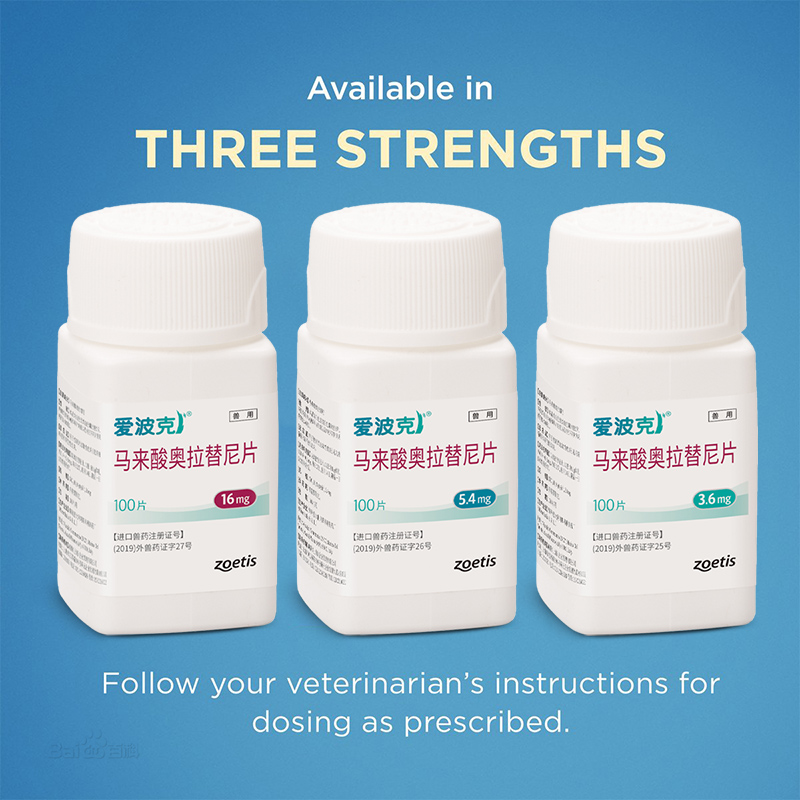 Apoquel 16/5.4/3.6mg 10 Tablets for Dog Anti-Itching Effective ...