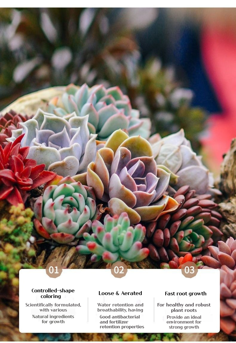 2.5KG Cactus Succulent Soil&Aroid Premium and Organic Soilless Potting ...