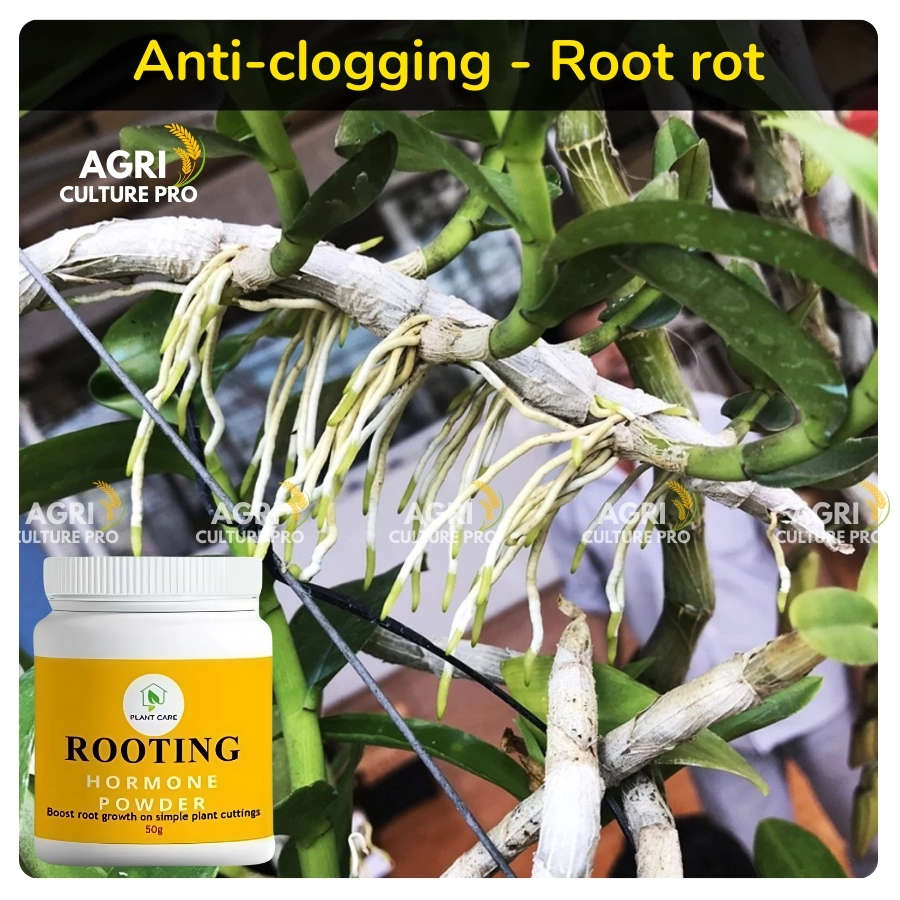 Super strong Rooting Hormone for cuttings 50G | Stimulates fast rooting ...