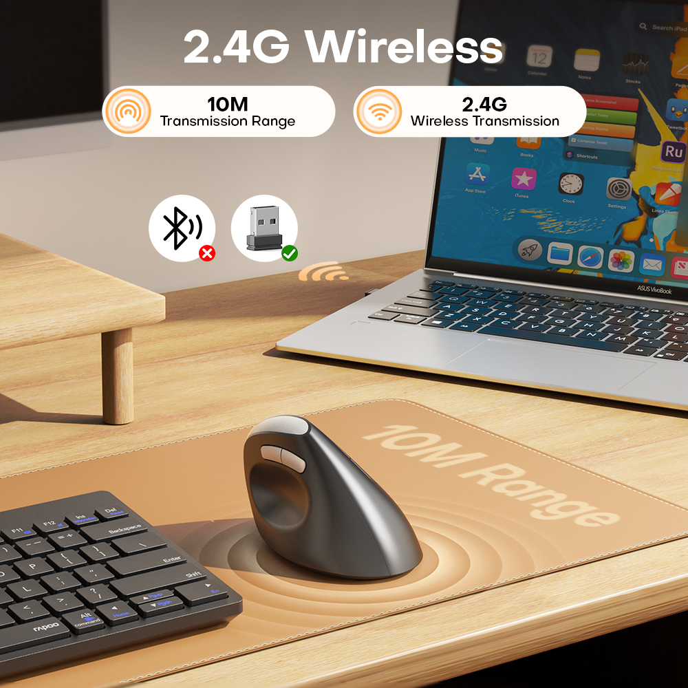 Rapoo EV250 Silent Wireless Optical Ergonomic Vertical Mouse | Shopee ...