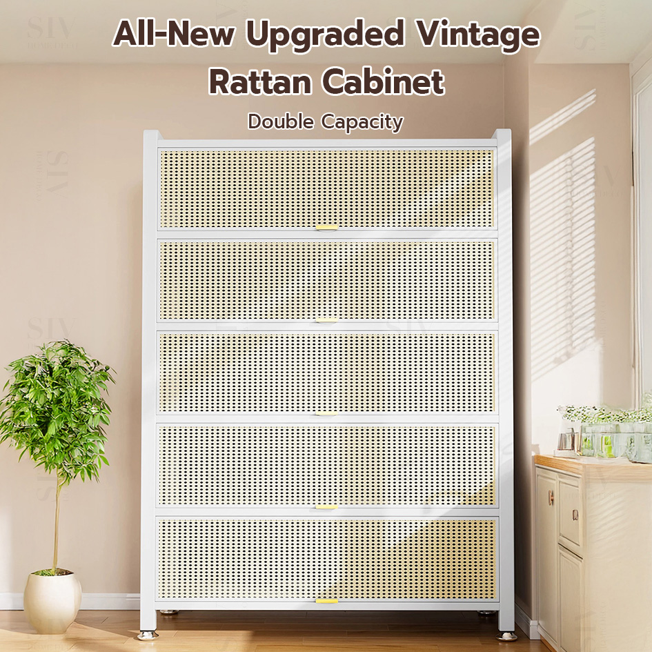 Peti Vintage Rattan Storage Cabinet & Flip-Up Door & Steel Frame ...