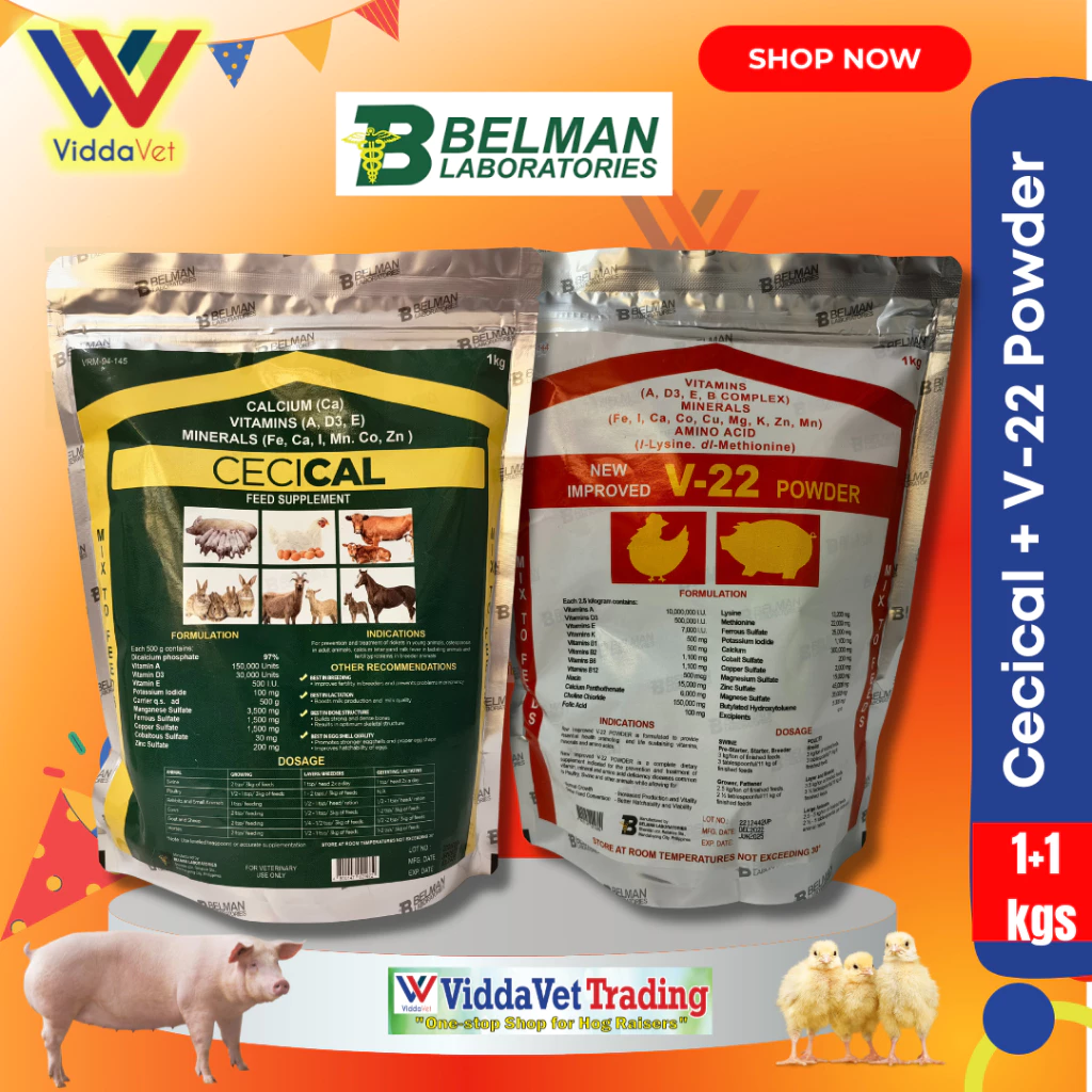 1kg Cecical + 1kg V22 Calcium Feed Supplement for Poultry Swine Cattle ...