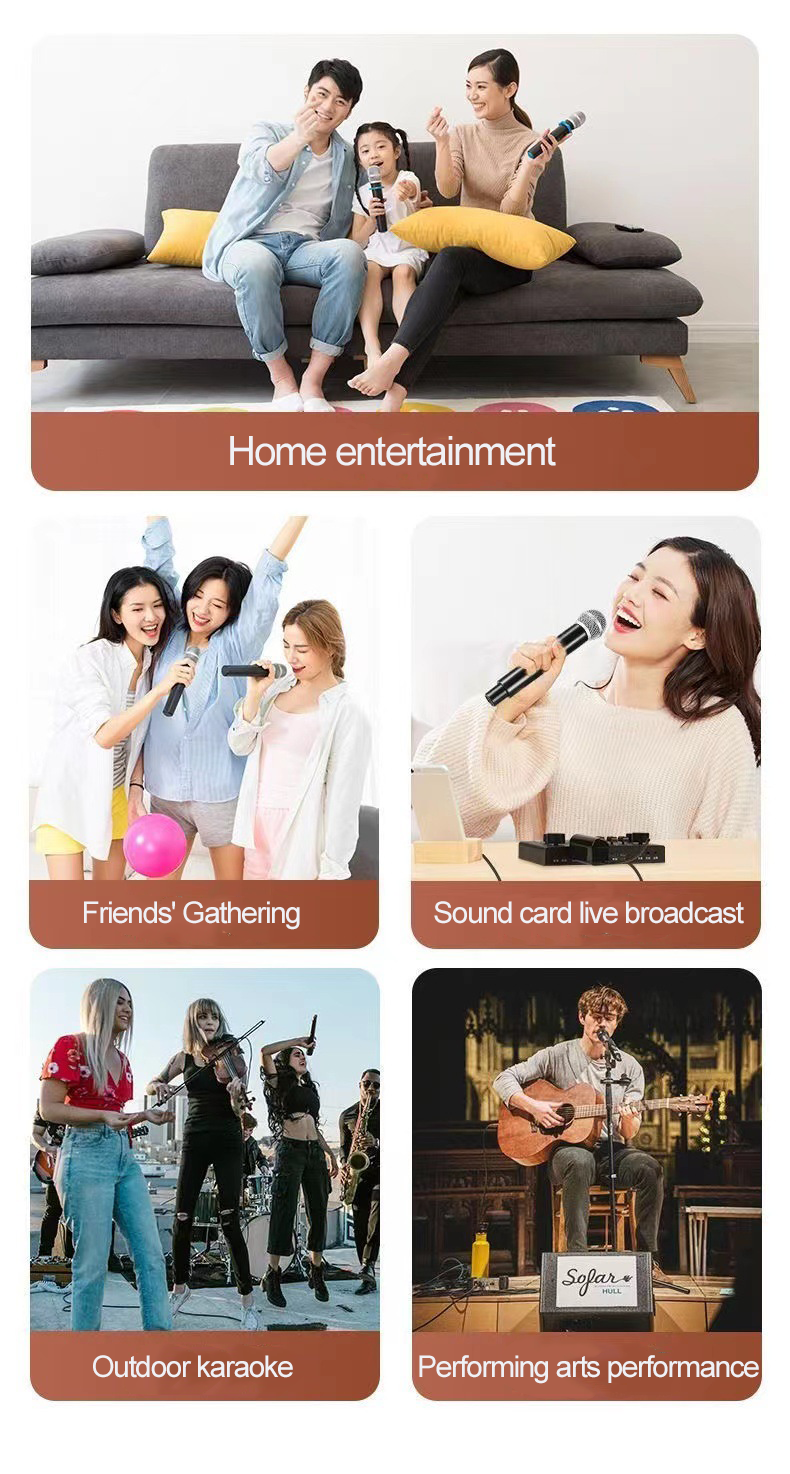 Professional Bluetooth Wireless Microphone for videoke UHF Dual ...