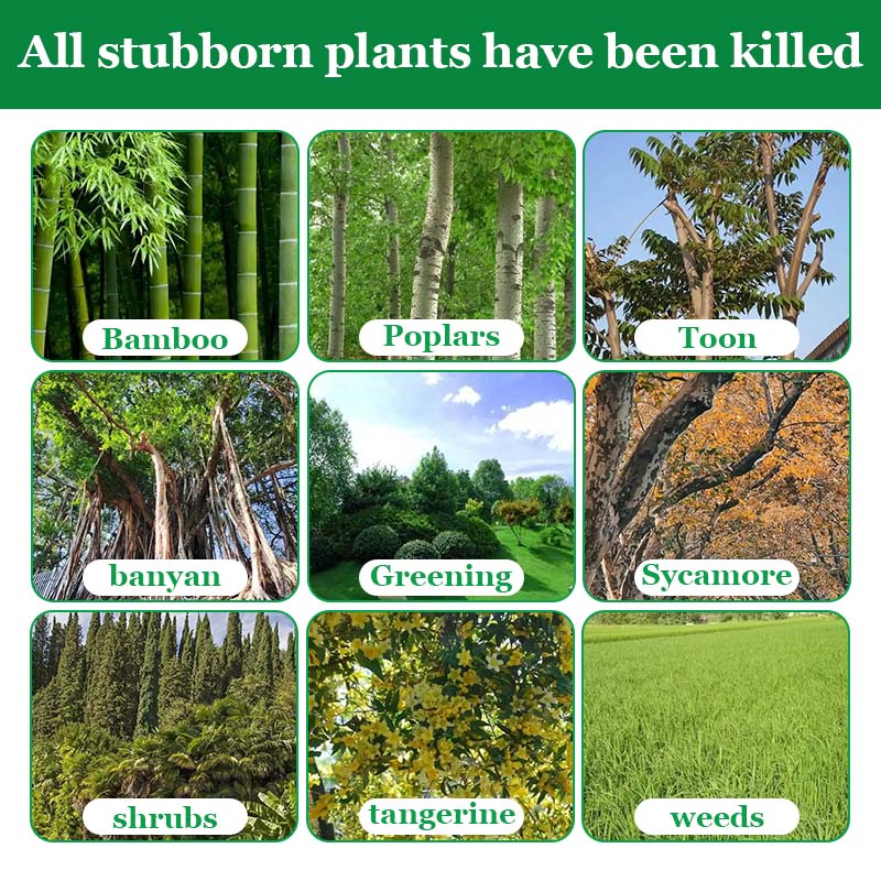 tree killer 1000g tree killer chemical, which can easily kill big trees ...
