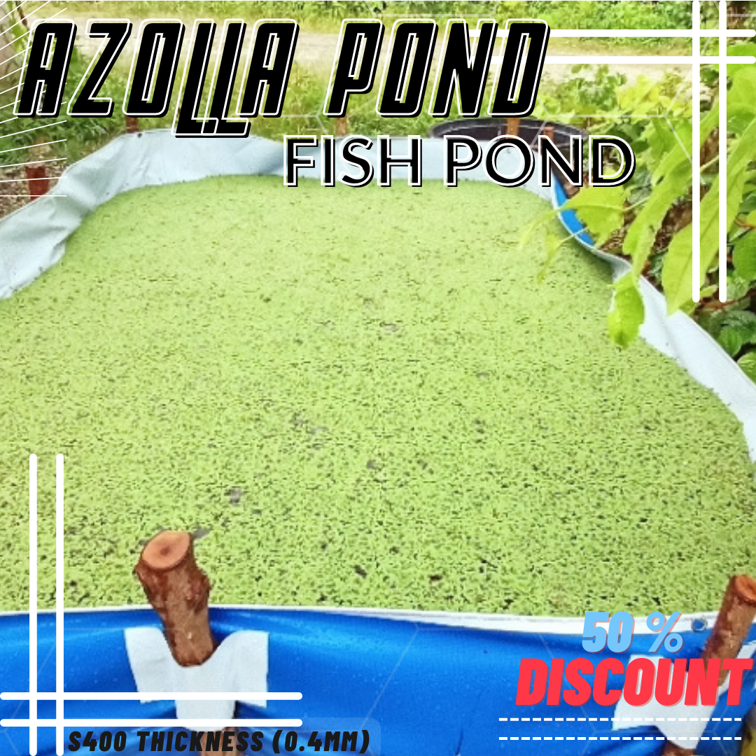 3X7X2Feet 1pc Azolla Pond/Fish Pond Maruyama Brand All Purpose - LONG ...