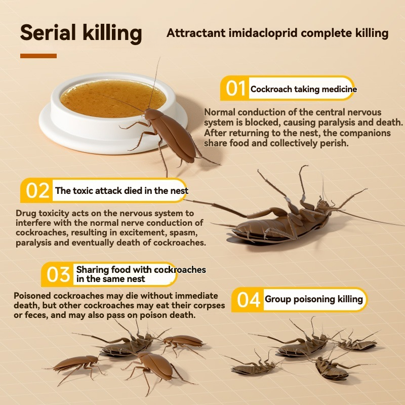 Japan 12Pcs Cockroach Bait No-toxicity Cockroach Killer Cockroach Traps ...