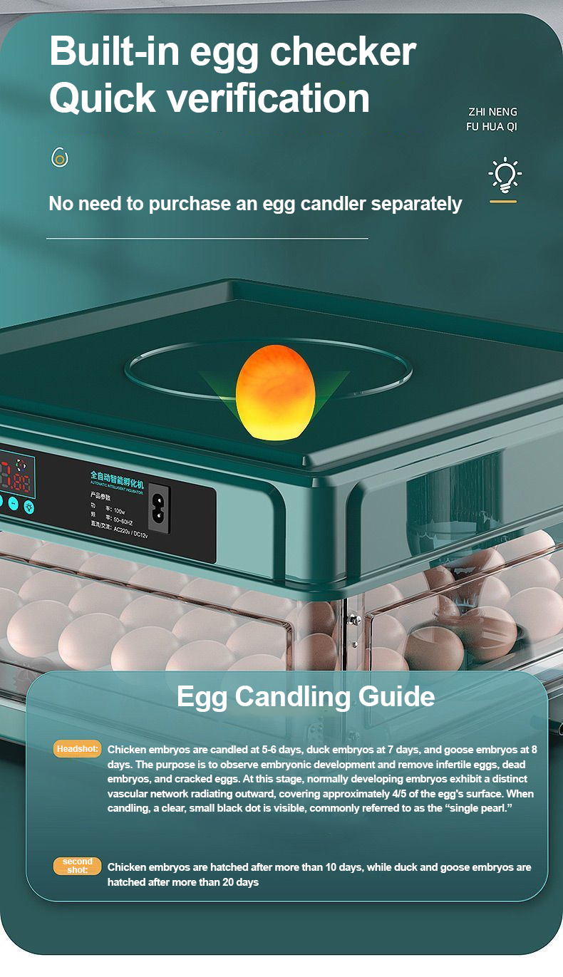 JF Egg Incubator Fully Automatic Egg Incubator Intelligent Digital ...