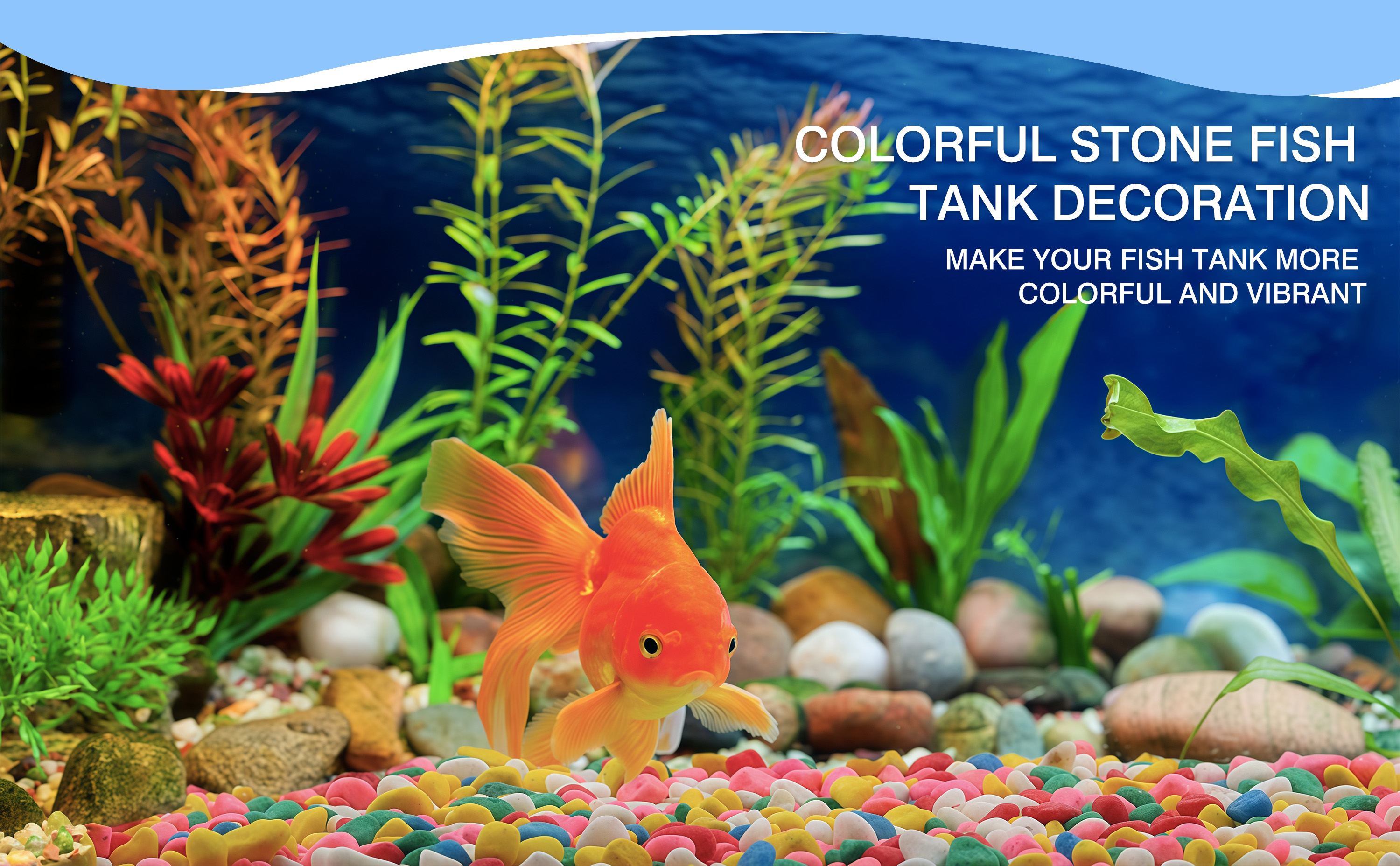 Aquarium Colorful Rocks Pebble Stone For Fish Tank | Shopee Philippines