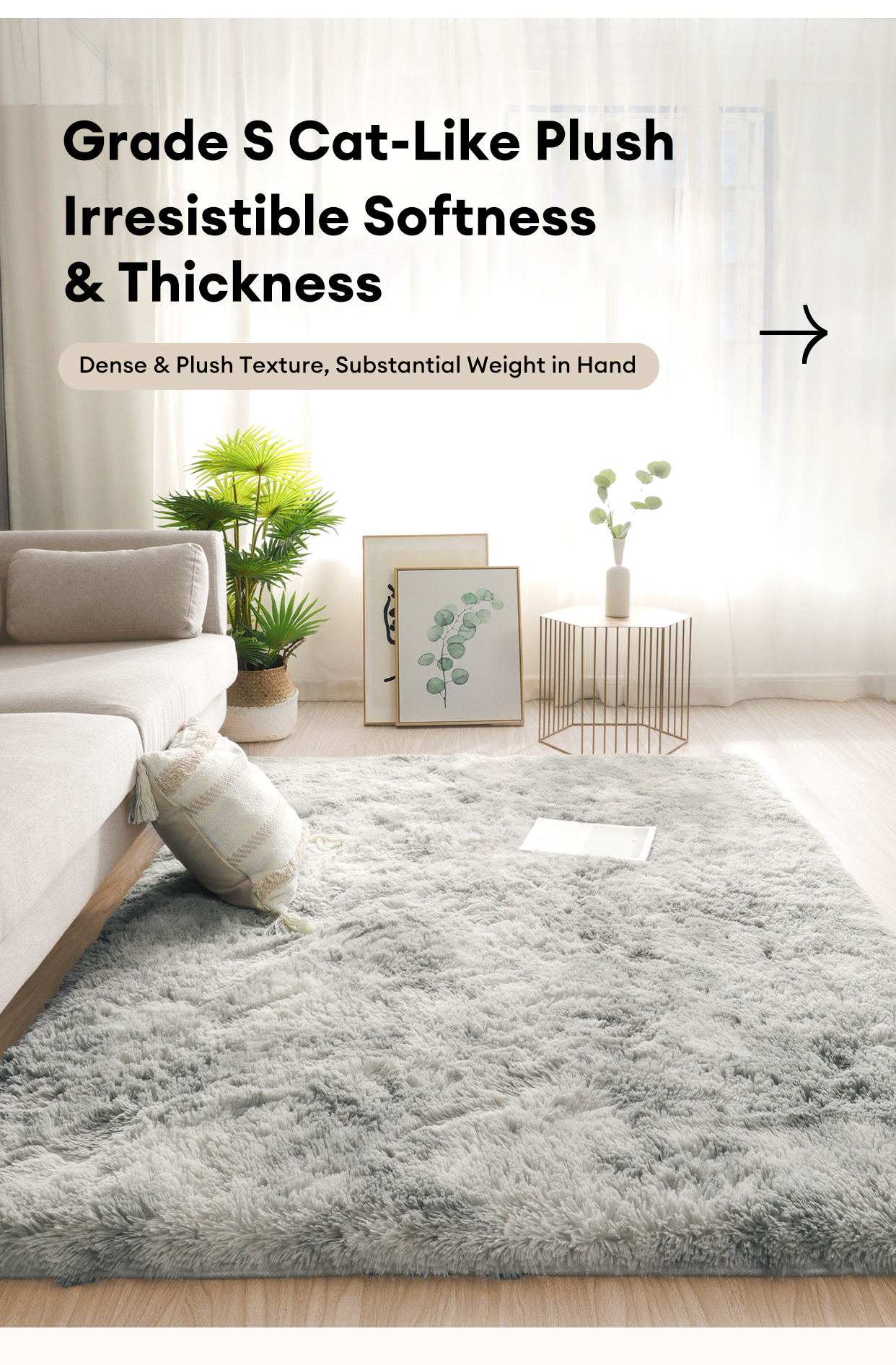 MOIZY non-slip soft lint-free rug carpet living room fur carpet carpet ...