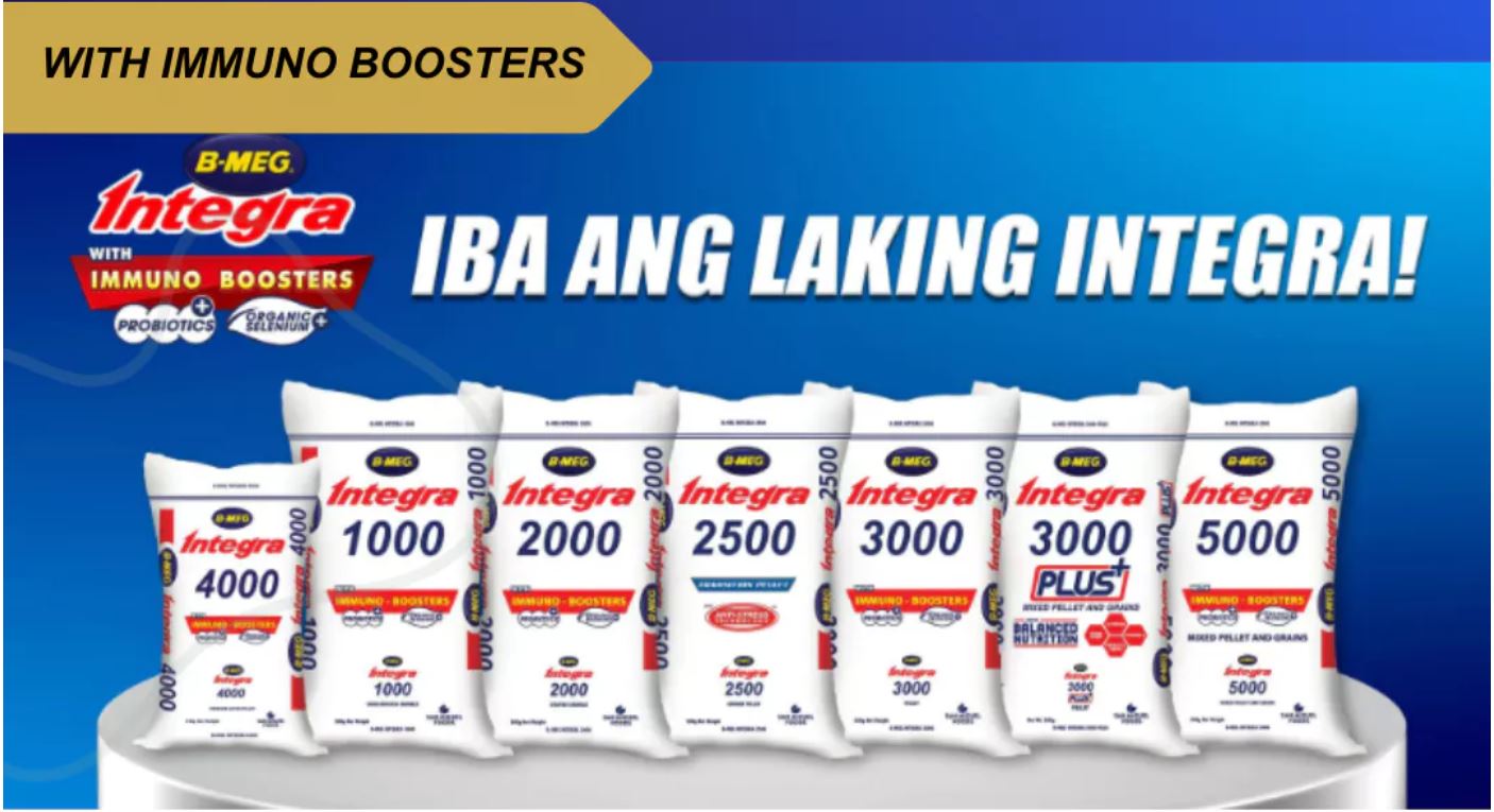 B-MEG INTEGRA 1000//2000/2500/3000/4000 - REPACKED | Shopee Philippines