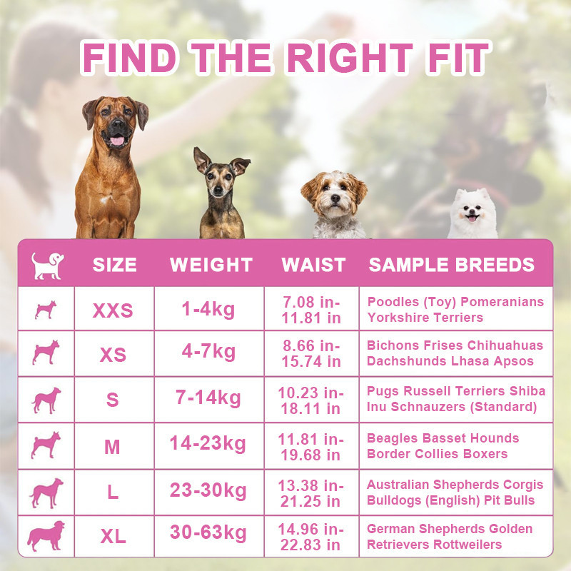 【Buy 1 Take 1】10 PCS Pet Diaper Dog Diaper for Female and Male Rapid ...