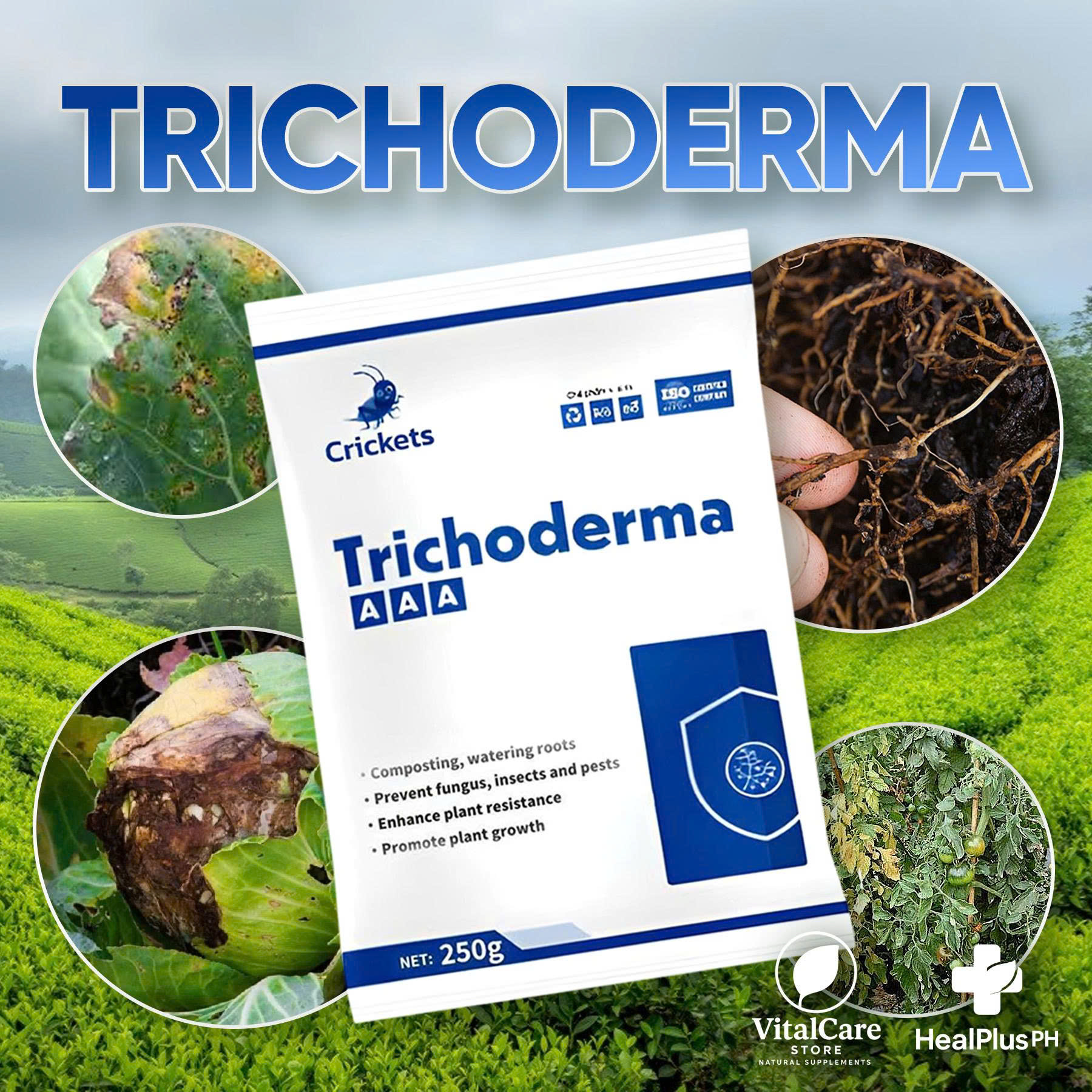 Trichoderma Bio Product Helps Prevent Fungi, Protect Roots and Support ...