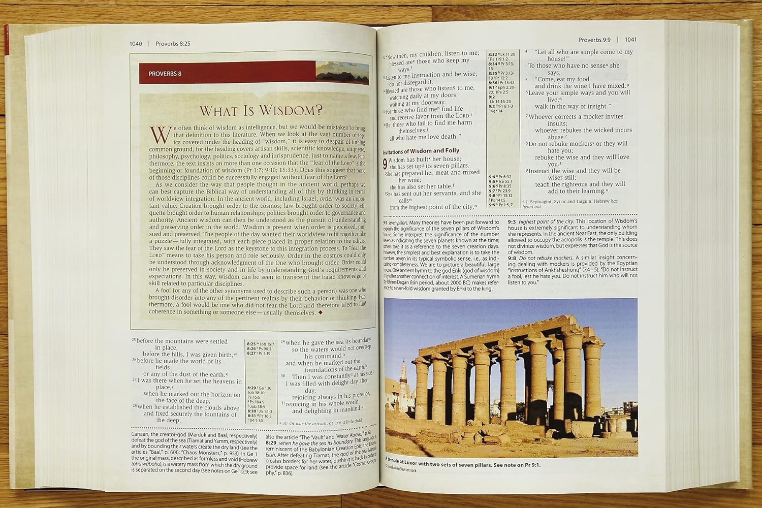 PCBS NIV, Cultural Backgrounds Study Bible Hardcover Bringing to Life ...