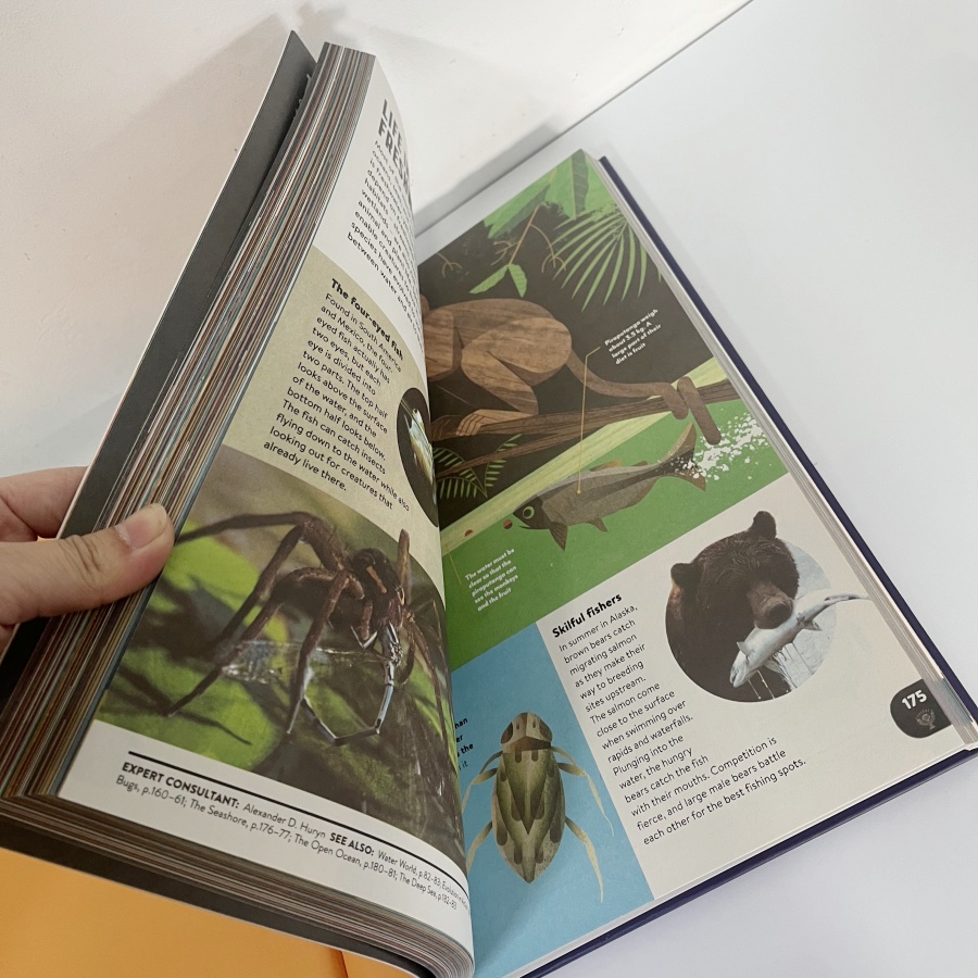 Encyclopedia Britannica New Children's Encyclopedia English Edition ...