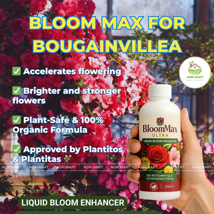 Bloom Max Ultra 250ml – Fast Flowering Solution for Orchids and ...