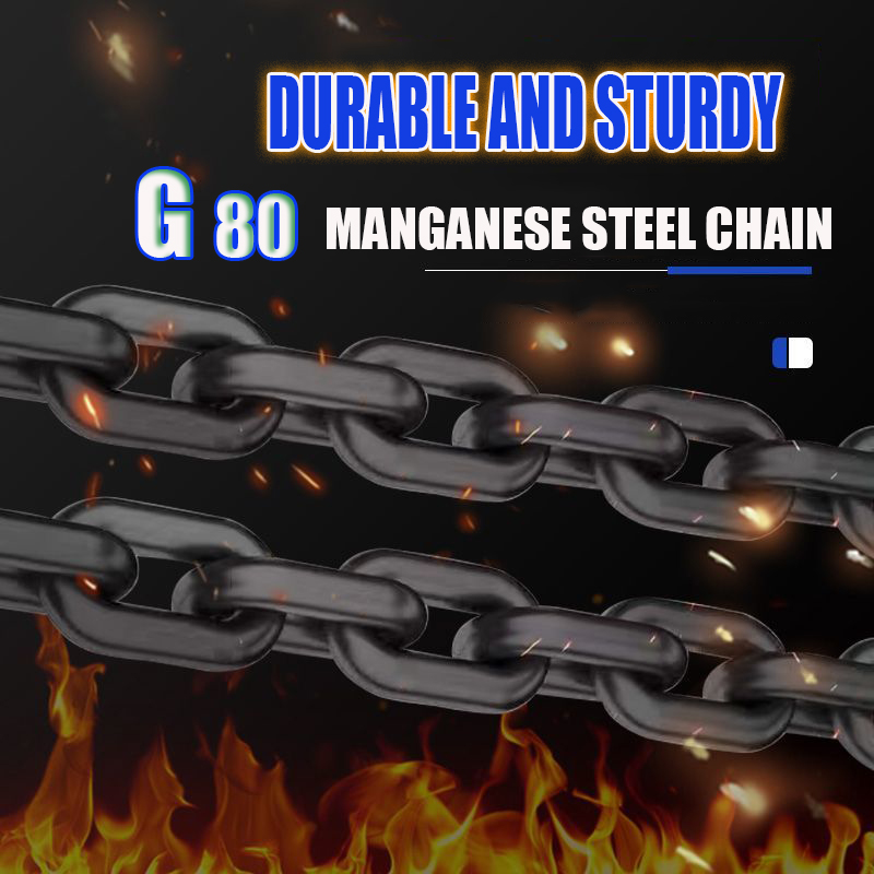TOYO Chain Block 1Ton 2Ton 3Ton 3M 6M 9M Chain Good Quality | Shopee ...