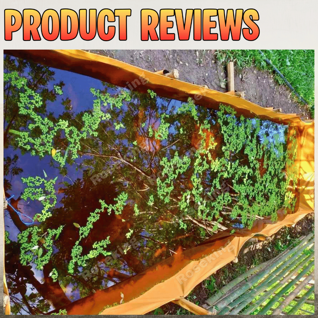 4X4X1, 4X3X1 FEET AZOLLA PVC TYPE FISH TANK POND/ BED TRAPAL HIGH ...