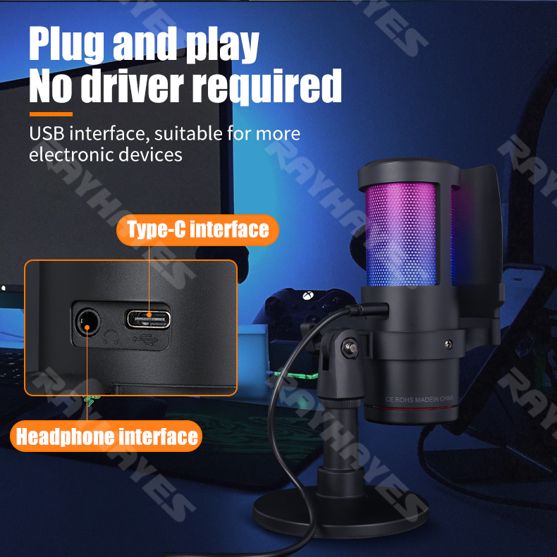 RAYHAYES USB Condenser Microphone RGB Gaming Mic Noise Canceling For ...